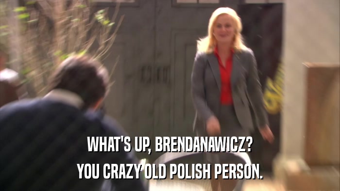 WHAT'S UP, BRENDANAWICZ? YOU CRAZY OLD POLISH PERSON. 