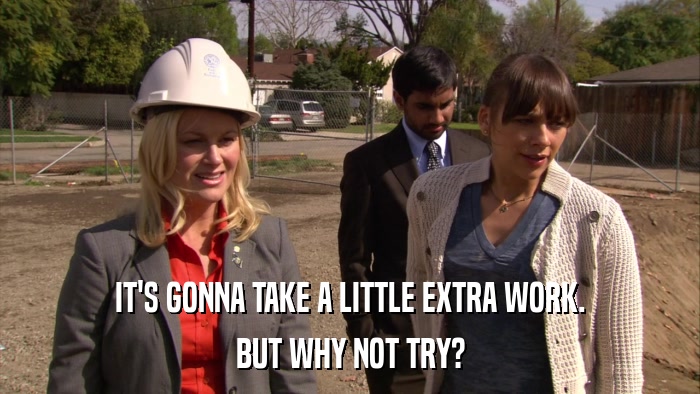 IT'S GONNA TAKE A LITTLE EXTRA WORK. BUT WHY NOT TRY? 