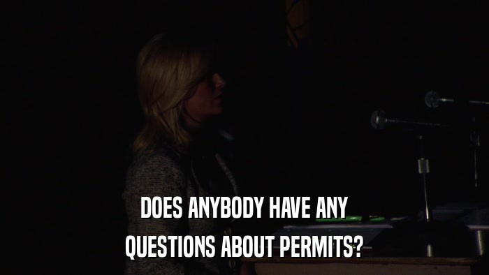 DOES ANYBODY HAVE ANY QUESTIONS ABOUT PERMITS? 