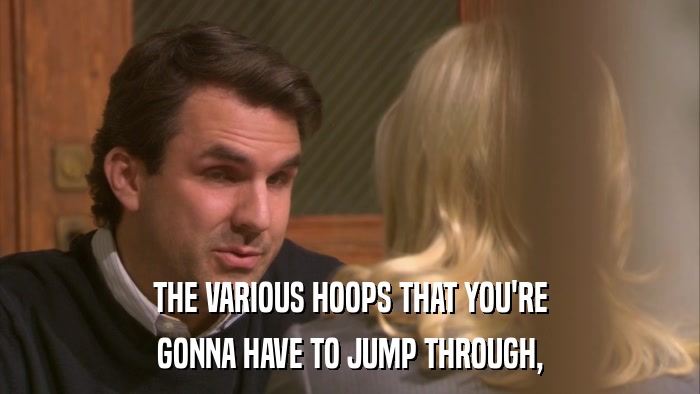 THE VARIOUS HOOPS THAT YOU'RE GONNA HAVE TO JUMP THROUGH, 