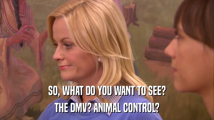 SO, WHAT DO YOU WANT TO SEE? THE DMV? ANIMAL CONTROL? 