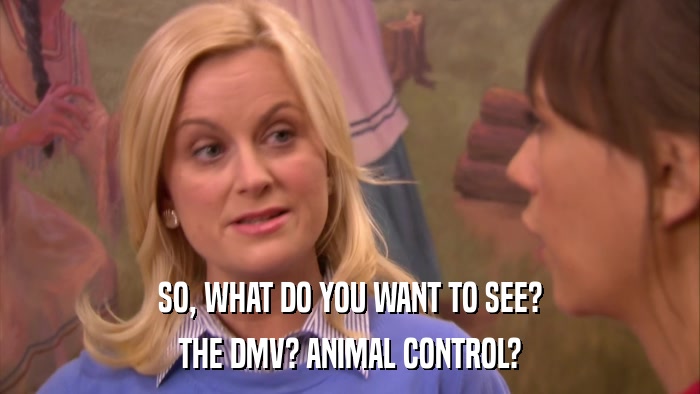 SO, WHAT DO YOU WANT TO SEE? THE DMV? ANIMAL CONTROL? 