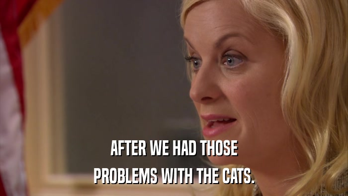 AFTER WE HAD THOSE PROBLEMS WITH THE CATS. 