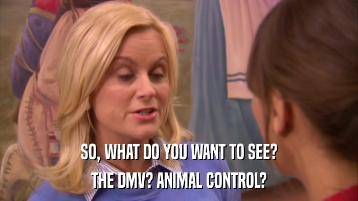 SO, WHAT DO YOU WANT TO SEE? THE DMV? ANIMAL CONTROL? 