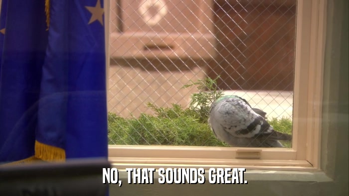 NO, THAT SOUNDS GREAT.  