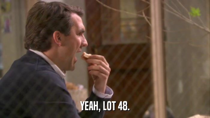 YEAH, LOT 48.  