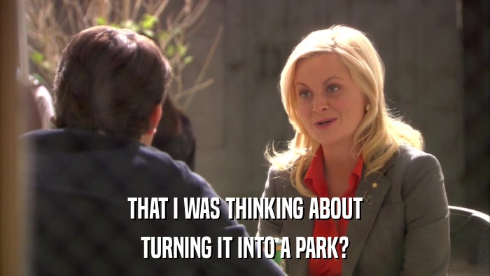 THAT I WAS THINKING ABOUT TURNING IT INTO A PARK? 
