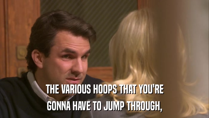 THE VARIOUS HOOPS THAT YOU'RE GONNA HAVE TO JUMP THROUGH, 