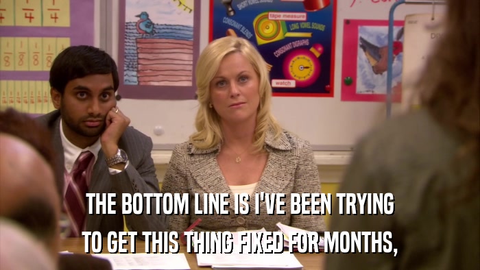 THE BOTTOM LINE IS I'VE BEEN TRYING TO GET THIS THING FIXED FOR MONTHS, 