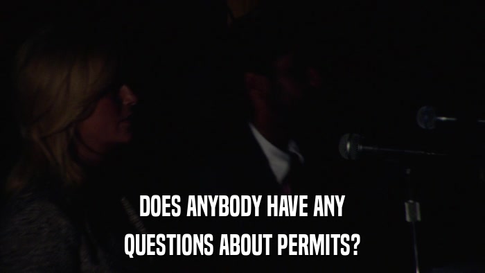 DOES ANYBODY HAVE ANY QUESTIONS ABOUT PERMITS? 