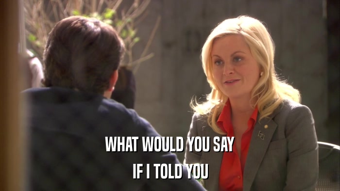 WHAT WOULD YOU SAY IF I TOLD YOU 