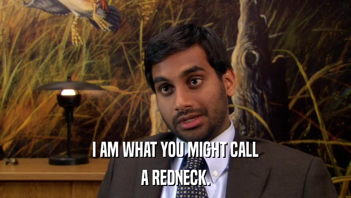 I AM WHAT YOU MIGHT CALL A REDNECK. 