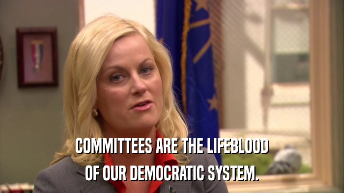 COMMITTEES ARE THE LIFEBLOOD OF OUR DEMOCRATIC SYSTEM. 