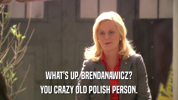 WHAT'S UP, BRENDANAWICZ? YOU CRAZY OLD POLISH PERSON. 