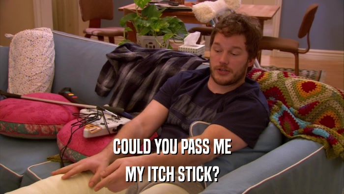 COULD YOU PASS ME MY ITCH STICK? 