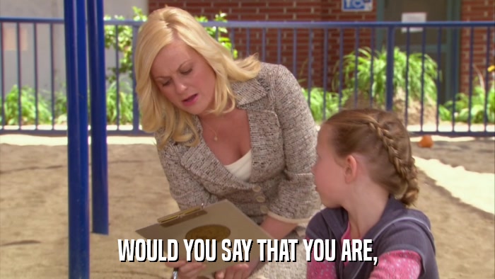 WOULD YOU SAY THAT YOU ARE,  