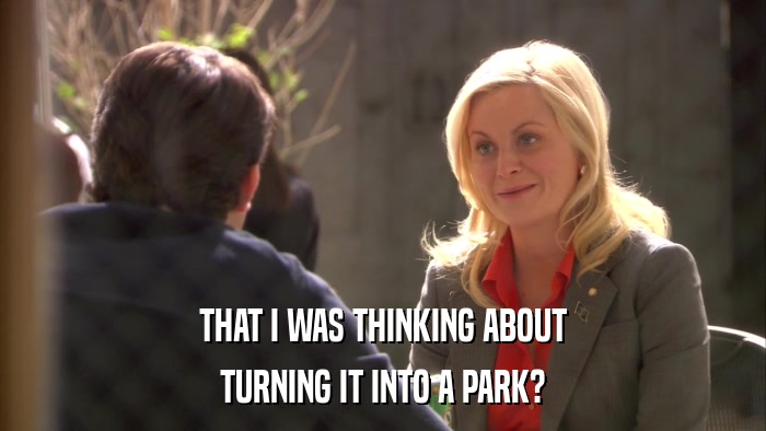 THAT I WAS THINKING ABOUT TURNING IT INTO A PARK? 