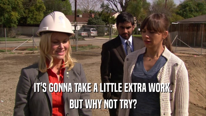 IT'S GONNA TAKE A LITTLE EXTRA WORK. BUT WHY NOT TRY? 