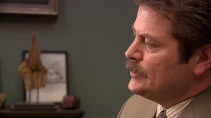MY DREAM IS TO HAVE THE PARK SYSTEM PRIVATIZED 