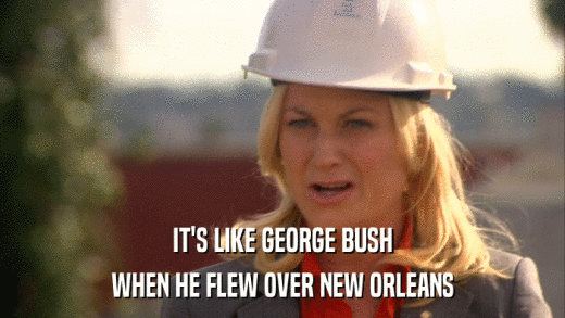 IT'S LIKE GEORGE BUSH WHEN HE FLEW OVER NEW ORLEANS 