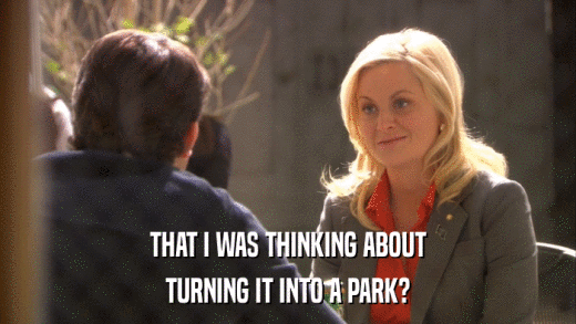 THAT I WAS THINKING ABOUT TURNING IT INTO A PARK? 