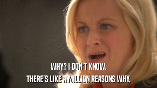 WHY? I DON'T KNOW. THERE'S LIKE A MILLION REASONS WHY. 