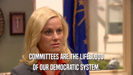 COMMITTEES ARE THE LIFEBLOOD OF OUR DEMOCRATIC SYSTEM. 