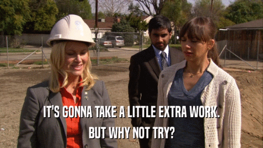 IT'S GONNA TAKE A LITTLE EXTRA WORK. BUT WHY NOT TRY? 
