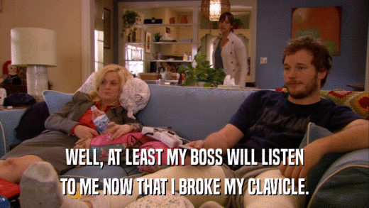 WELL, AT LEAST MY BOSS WILL LISTEN TO ME NOW THAT I BROKE MY CLAVICLE. 