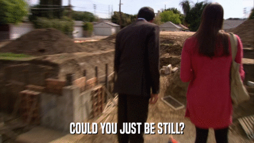 COULD YOU JUST BE STILL?  