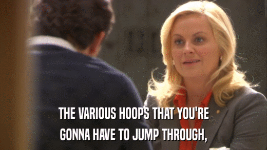 THE VARIOUS HOOPS THAT YOU'RE GONNA HAVE TO JUMP THROUGH, 