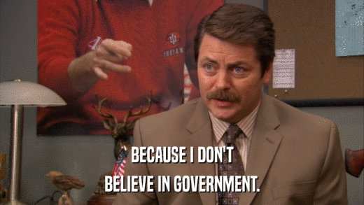 BECAUSE I DON'T BELIEVE IN GOVERNMENT. 
