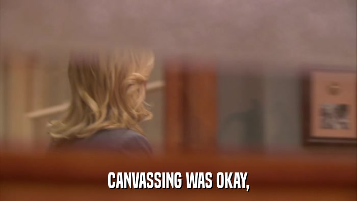 CANVASSING WAS OKAY,  