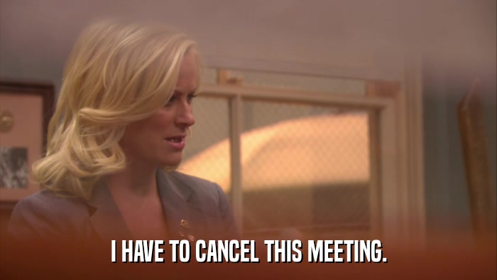 I HAVE TO CANCEL THIS MEETING.  