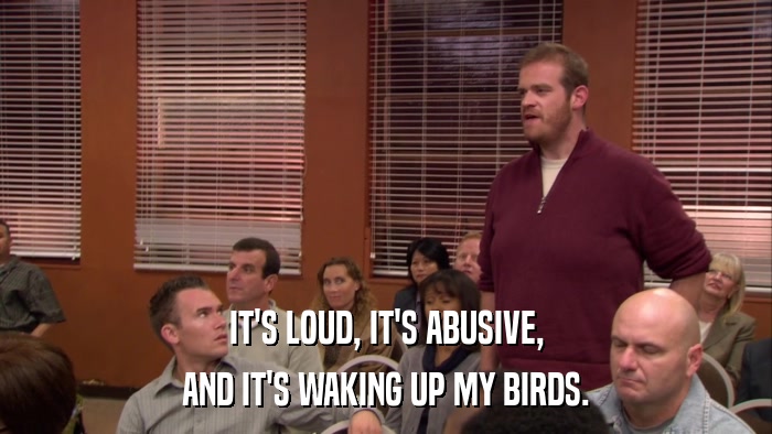 IT'S LOUD, IT'S ABUSIVE, AND IT'S WAKING UP MY BIRDS. 