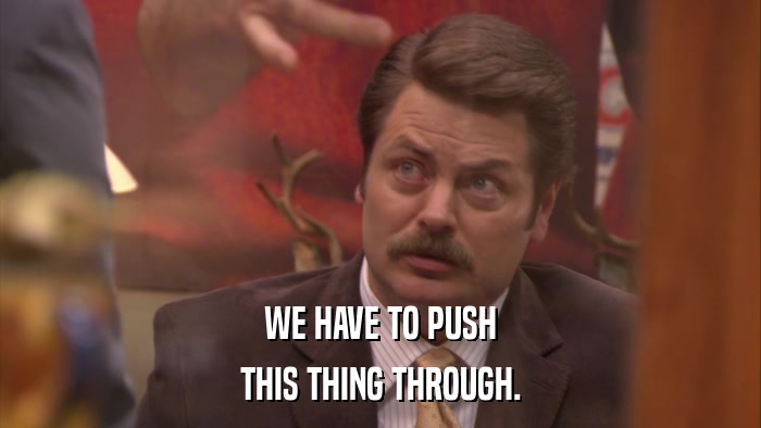 WE HAVE TO PUSH THIS THING THROUGH. 