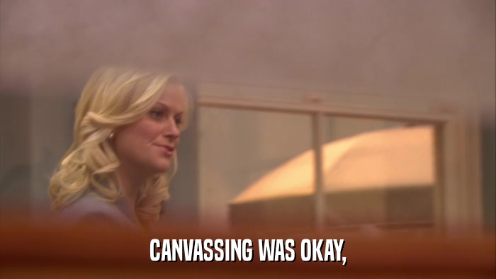 CANVASSING WAS OKAY,  