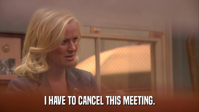 I HAVE TO CANCEL THIS MEETING.  
