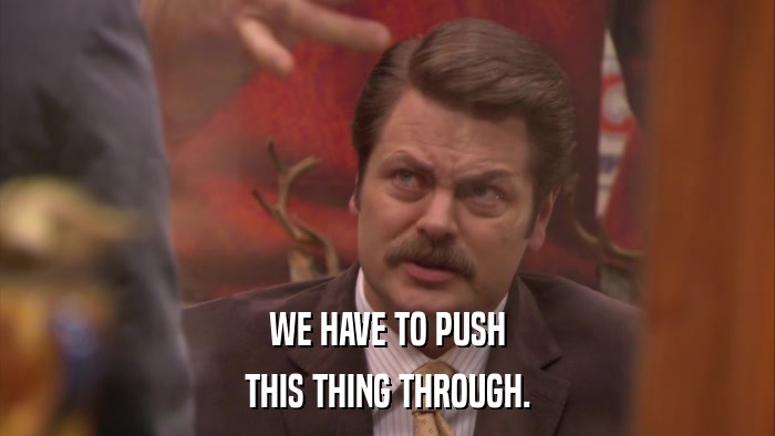 WE HAVE TO PUSH THIS THING THROUGH. 
