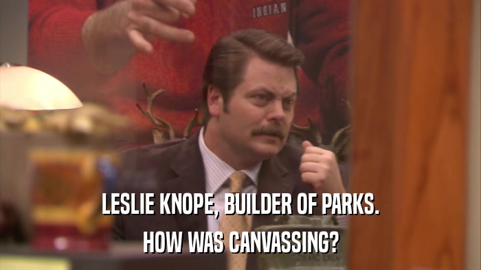 LESLIE KNOPE, BUILDER OF PARKS. HOW WAS CANVASSING? 