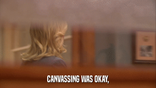 CANVASSING WAS OKAY,  