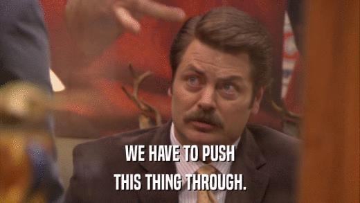 WE HAVE TO PUSH THIS THING THROUGH. 