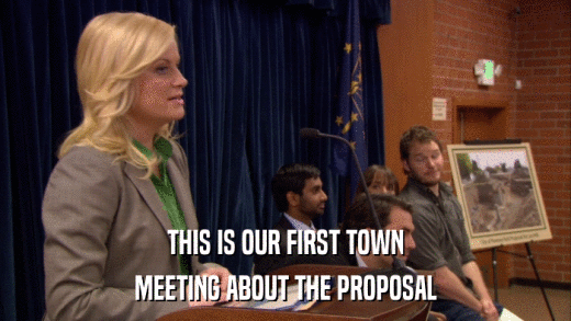 THIS IS OUR FIRST TOWN MEETING ABOUT THE PROPOSAL 