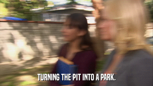 TURNING THE PIT INTO A PARK.  