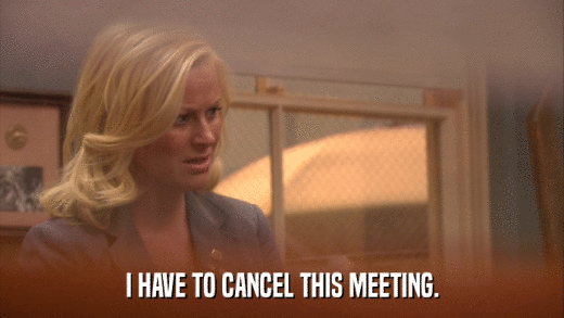 I HAVE TO CANCEL THIS MEETING.  
