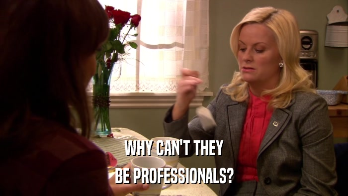 WHY CAN'T THEY BE PROFESSIONALS? 