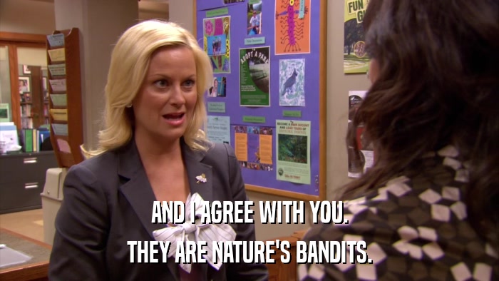 AND I AGREE WITH YOU. THEY ARE NATURE'S BANDITS. 
