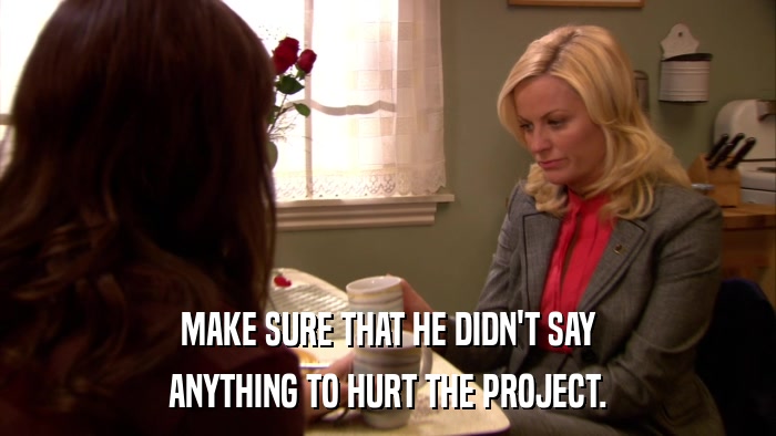 MAKE SURE THAT HE DIDN'T SAY ANYTHING TO HURT THE PROJECT. 