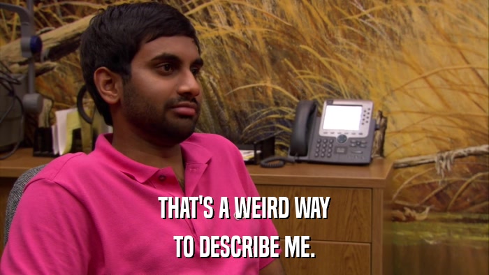 THAT'S A WEIRD WAY TO DESCRIBE ME. 