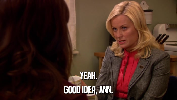 YEAH. GOOD IDEA, ANN. 